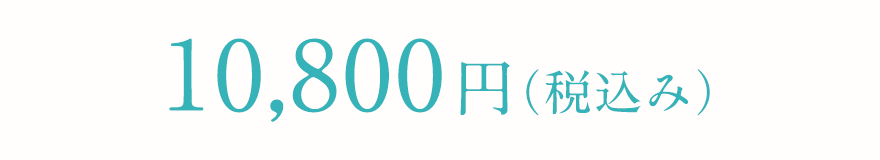 10800円(税込み)
