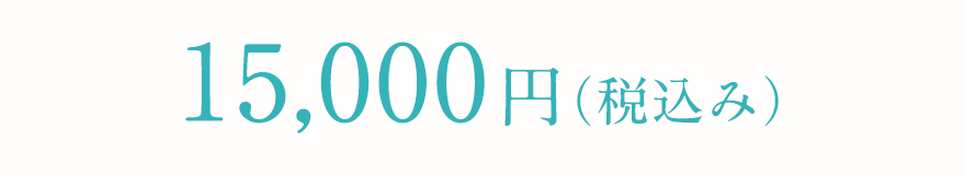 15000円(税込み)