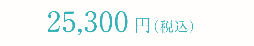 16,500円（税込）