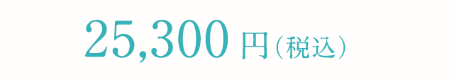 22,000円（税込）